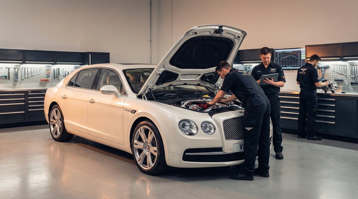 看片获奖视频-最佳改装视频